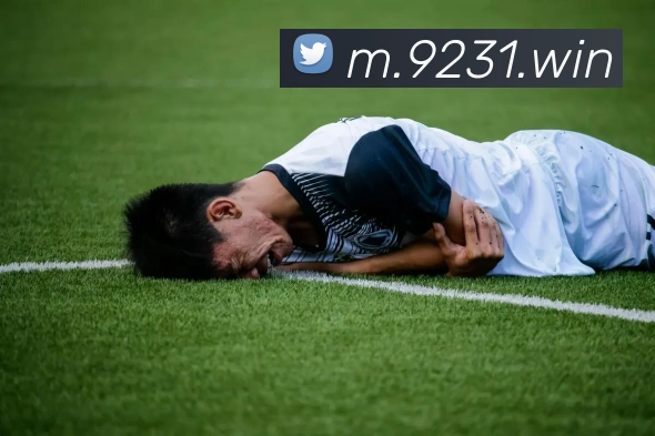 优德w88官网APP 体育赛事宣传图